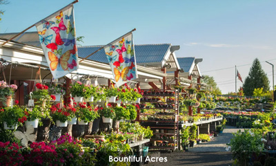 Newsletter footer image