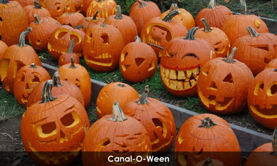 Newsletter footer image