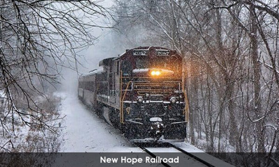 Newsletter footer image