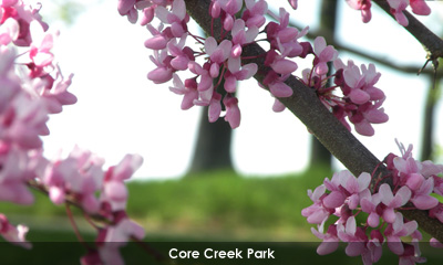 Newsletter footer image