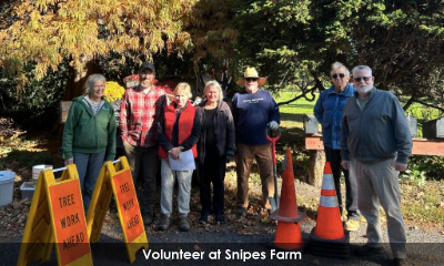 Newsletter footer image