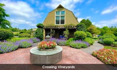 Newsletter footer image