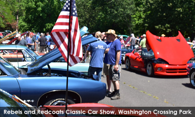 Newsletter footer image