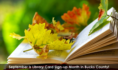 Newsletter footer image