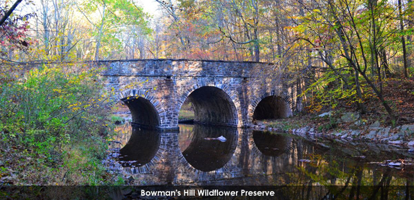 Newsletter Hero Image