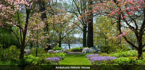 Newsletter Hero Image